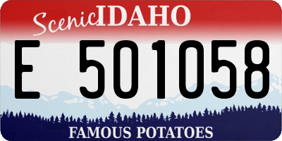 ID license plate E501058