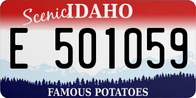 ID license plate E501059