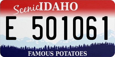 ID license plate E501061