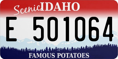 ID license plate E501064