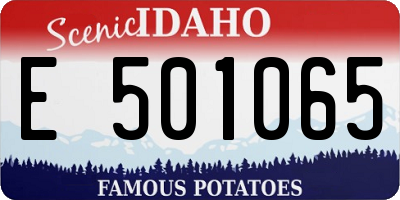 ID license plate E501065