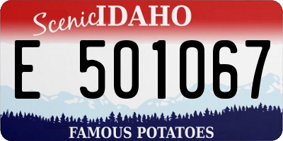 ID license plate E501067