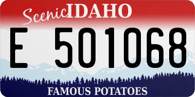 ID license plate E501068