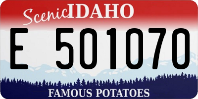 ID license plate E501070