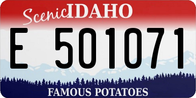 ID license plate E501071