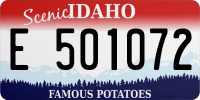 ID license plate E501072