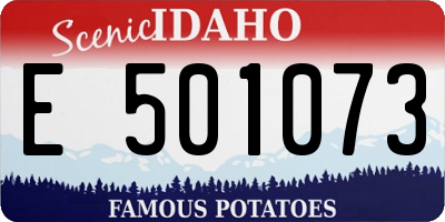 ID license plate E501073