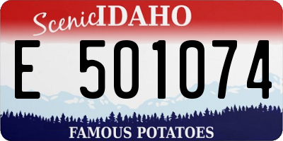 ID license plate E501074