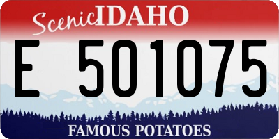 ID license plate E501075