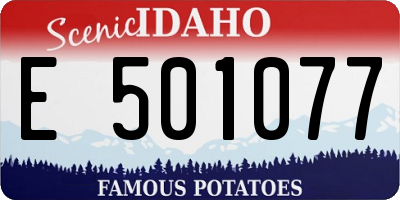 ID license plate E501077