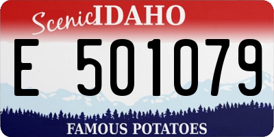 ID license plate E501079