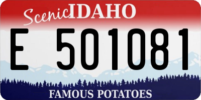 ID license plate E501081