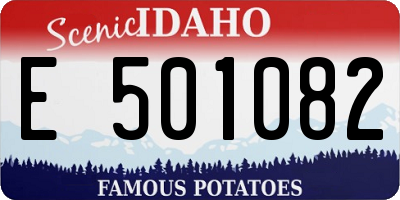 ID license plate E501082