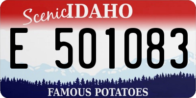 ID license plate E501083