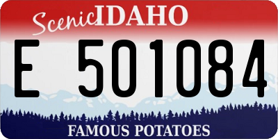 ID license plate E501084