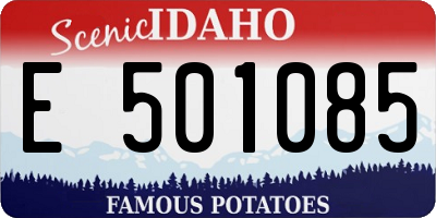 ID license plate E501085
