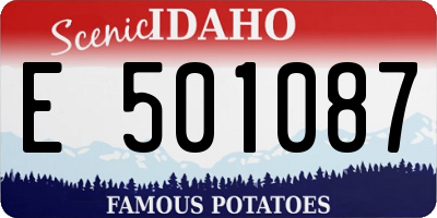 ID license plate E501087