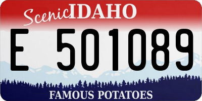 ID license plate E501089