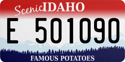 ID license plate E501090
