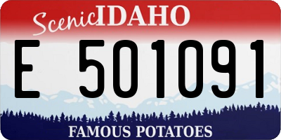 ID license plate E501091