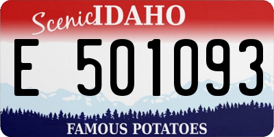 ID license plate E501093