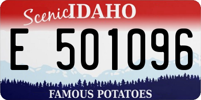 ID license plate E501096