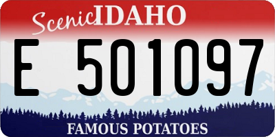 ID license plate E501097