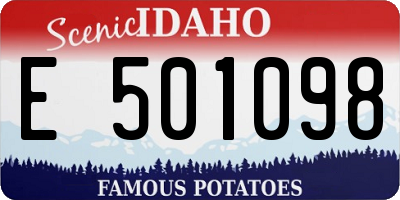 ID license plate E501098