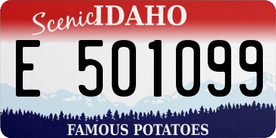 ID license plate E501099