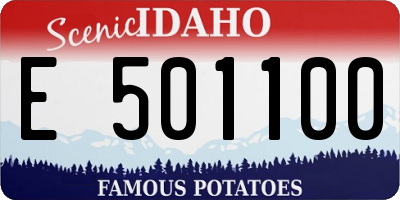 ID license plate E501100