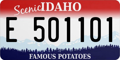 ID license plate E501101