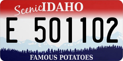 ID license plate E501102