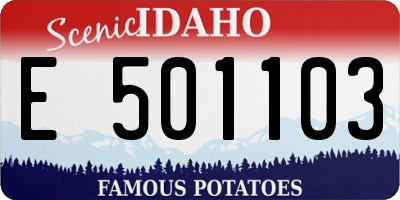 ID license plate E501103