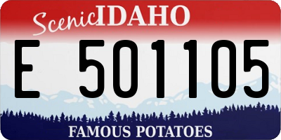 ID license plate E501105