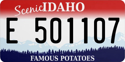 ID license plate E501107