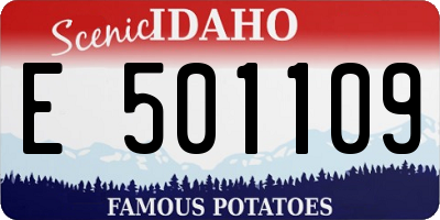 ID license plate E501109