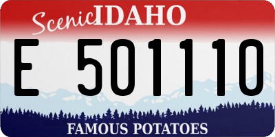 ID license plate E501110