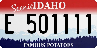 ID license plate E501111
