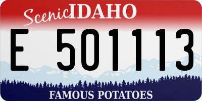ID license plate E501113