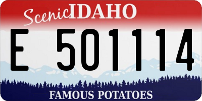 ID license plate E501114