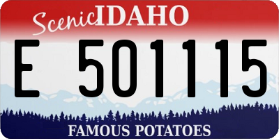 ID license plate E501115