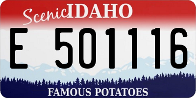 ID license plate E501116