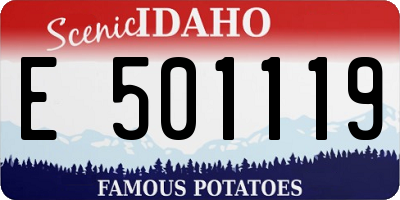 ID license plate E501119