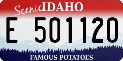 ID license plate E501120