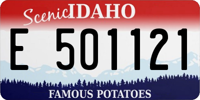 ID license plate E501121