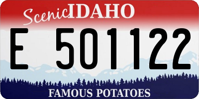 ID license plate E501122
