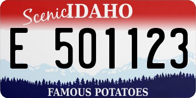 ID license plate E501123