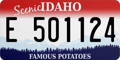 ID license plate E501124