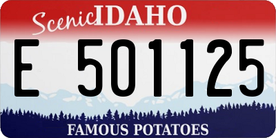 ID license plate E501125