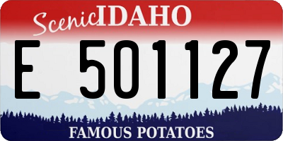 ID license plate E501127